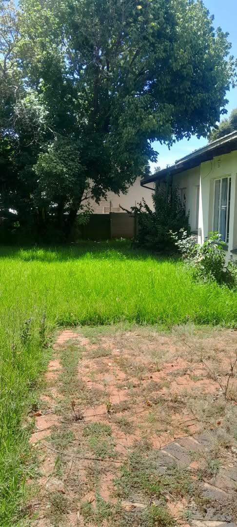 Lawn before service